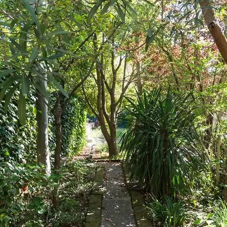 Canal Views And A Secret Garden In Giudecca Appartement